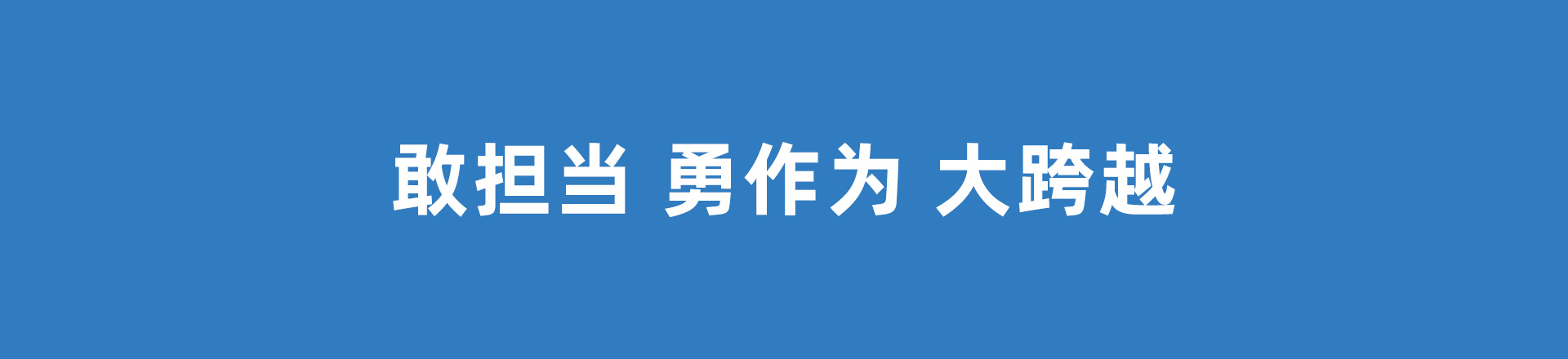 保定交通发展集团有限公司