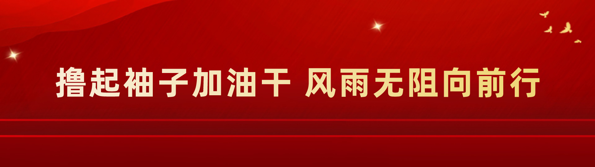 保定交通发展集团有限公司